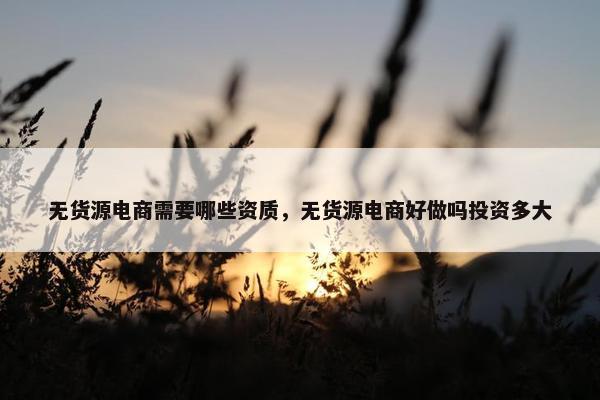 无货源电商需要哪些资质，无货源电商好做吗投资多大