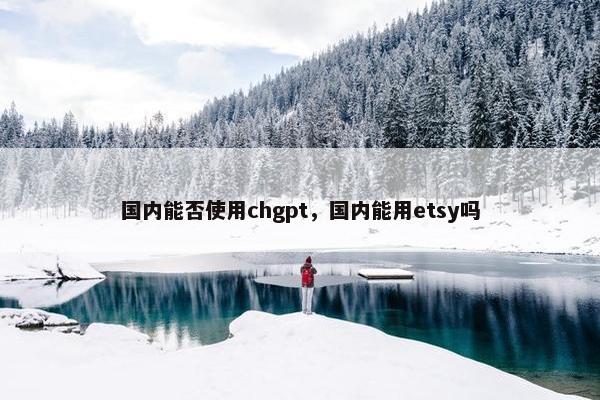 国内能否使用chgpt，国内能用etsy吗