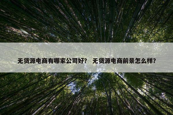 无货源电商有哪家公司好？ 无货源电商前景怎么样？