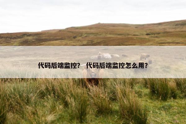 代码后端监控？ 代码后端监控怎么用？