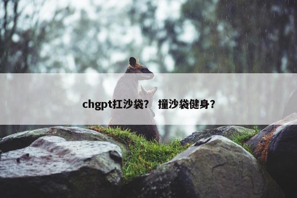 chgpt扛沙袋？ 撞沙袋健身？