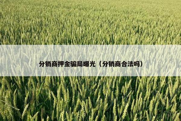 分销商押金骗局曝光（分销商合法吗）