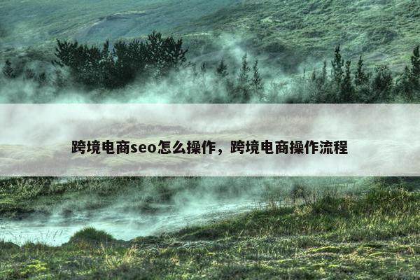 跨境电商seo怎么操作，跨境电商操作流程