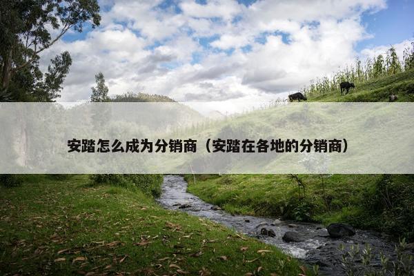 安踏怎么成为分销商（安踏在各地的分销商）