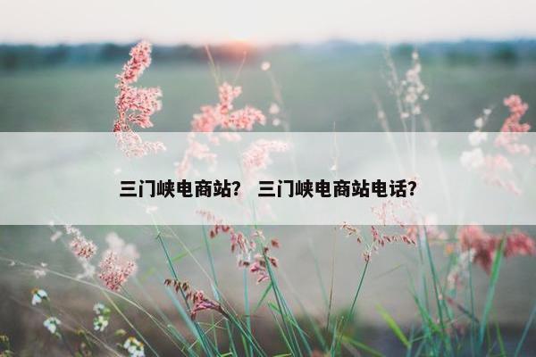 三门峡电商站？ 三门峡电商站电话？