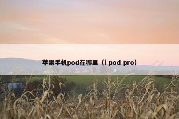 苹果手机pod在哪里（i pod pro）