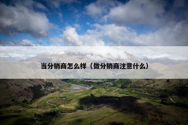 当分销商怎么样（做分销商注意什么）