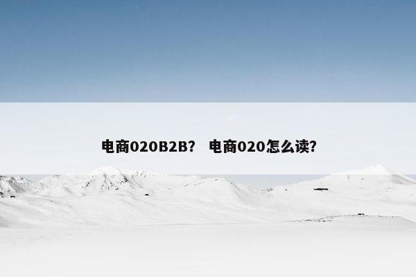 电商020B2B？ 电商020怎么读？