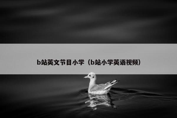 b站英文节目小学（b站小学英语视频）
