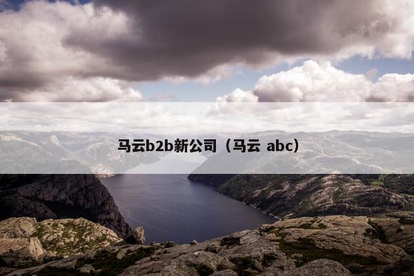 马云b2b新公司（马云 abc）