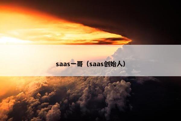 saas一哥（saas创始人）