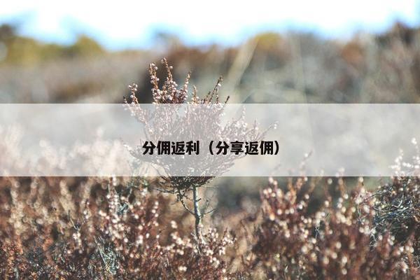 分佣返利（分享返佣）