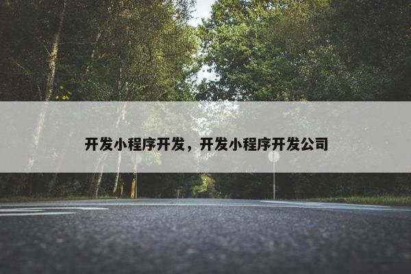 开发小程序开发，开发小程序开发公司