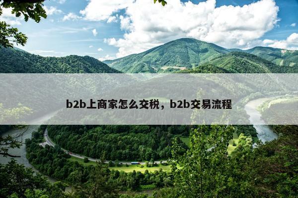 b2b上商家怎么交税，b2b交易流程