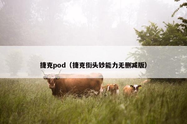 捷克pod（捷克街头钞能力无删减版）