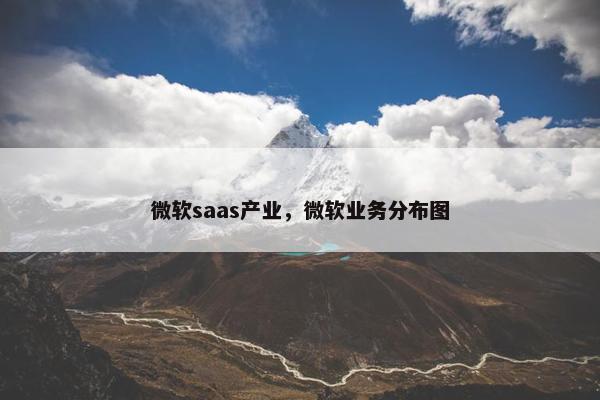 微软saas产业，微软业务分布图