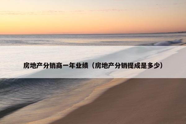 房地产分销商一年业绩（房地产分销提成是多少）