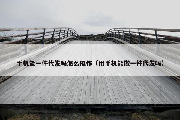 手机能一件代发吗怎么操作（用手机能做一件代发吗）
