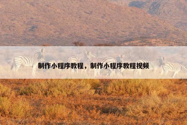 制作小程序教程，制作小程序教程视频