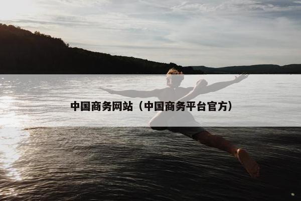 中国商务网站（中国商务平台官方）