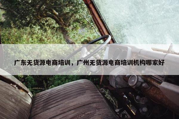广东无货源电商培训，广州无货源电商培训机构哪家好