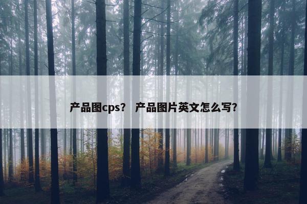 产品图cps？ 产品图片英文怎么写？