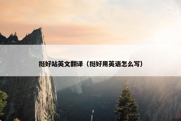 挺好站英文翻译（挺好用英语怎么写）