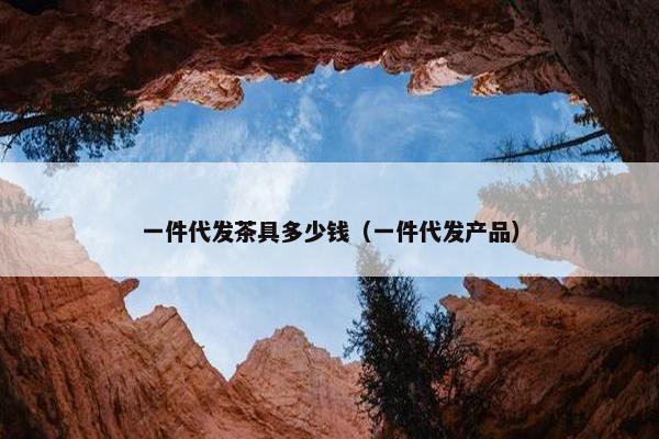 一件代发茶具多少钱（一件代发产品）