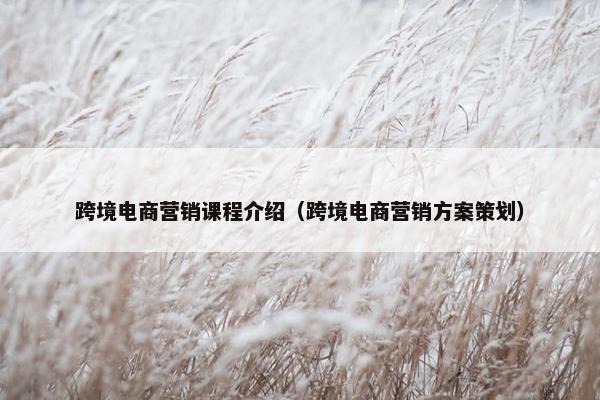 跨境电商营销课程介绍（跨境电商营销方案策划）