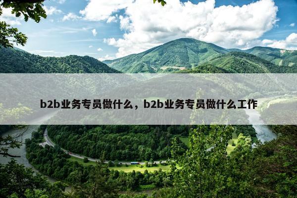 b2b业务专员做什么，b2b业务专员做什么工作