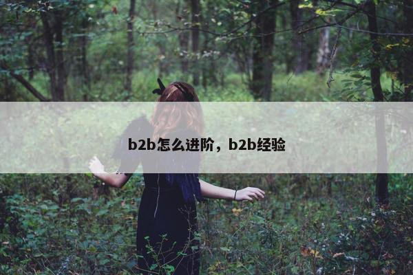 b2b怎么进阶，b2b经验