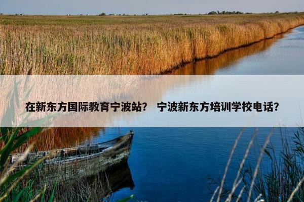 在新东方国际教育宁波站？ 宁波新东方培训学校电话？