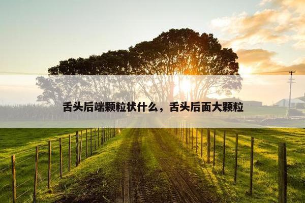 舌头后端颗粒状什么，舌头后面大颗粒