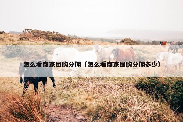 怎么看商家团购分佣（怎么看商家团购分佣多少）
