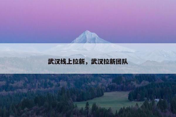 武汉线上拉新，武汉拉新团队