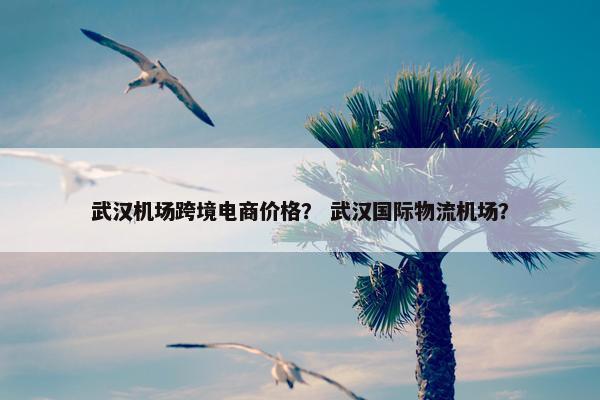 武汉机场跨境电商价格？ 武汉国际物流机场？