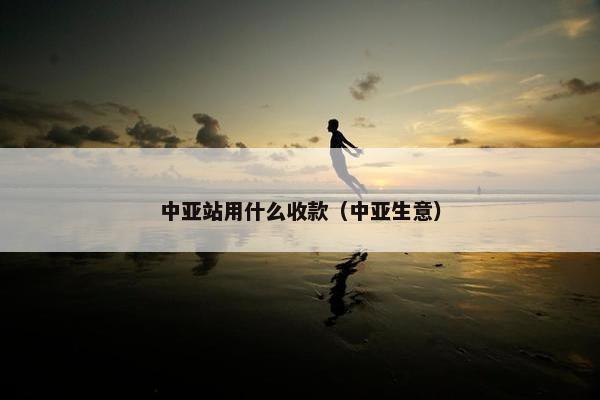 中亚站用什么收款（中亚生意）