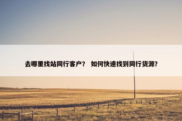 去哪里找站同行客户？ 如何快速找到同行货源？