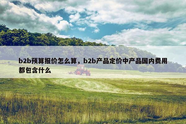 b2b预算报价怎么算，b2b产品定价中产品国内费用都包含什么