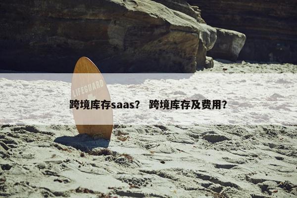 跨境库存saas？ 跨境库存及费用？
