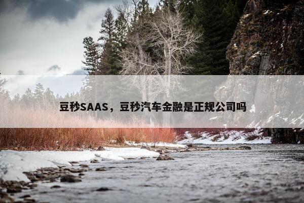 豆秒SAAS，豆秒汽车金融是正规公司吗