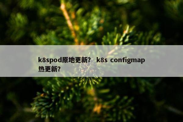 k8spod原地更新？ k8s configmap热更新？