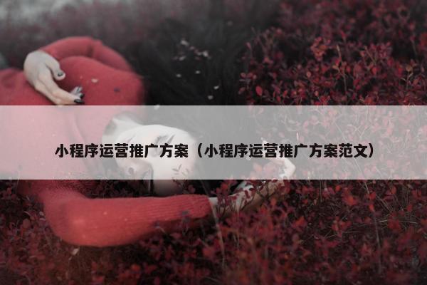 小程序运营推广方案（小程序运营推广方案范文）