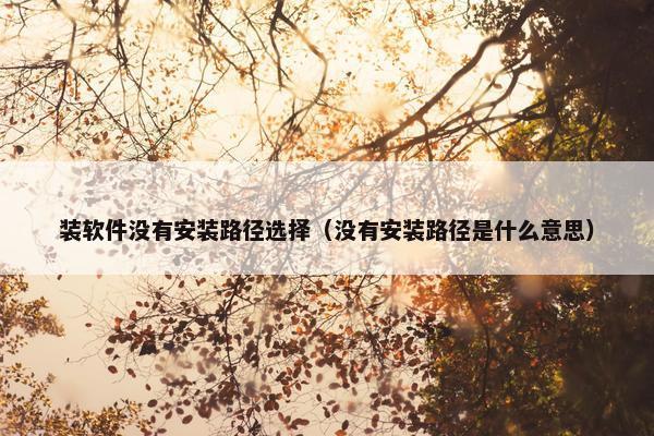 装软件没有安装路径选择（没有安装路径是什么意思）