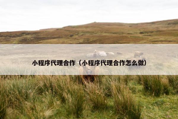 小程序代理合作（小程序代理合作怎么做）
