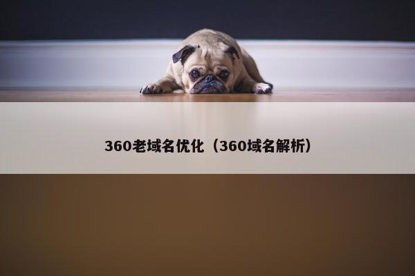 360老域名优化（360域名解析）