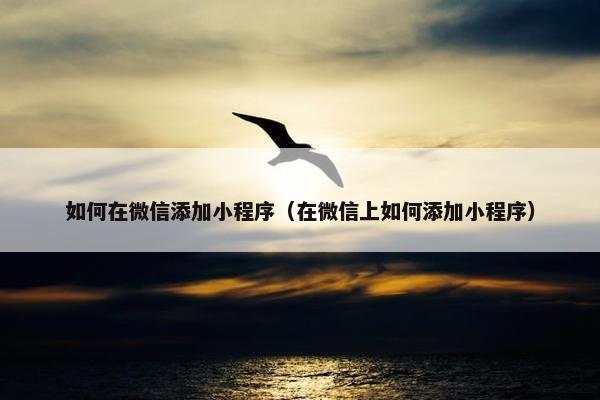如何在微信添加小程序（在微信上如何添加小程序）