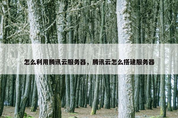 怎么利用腾讯云服务器，腾讯云怎么搭建服务器