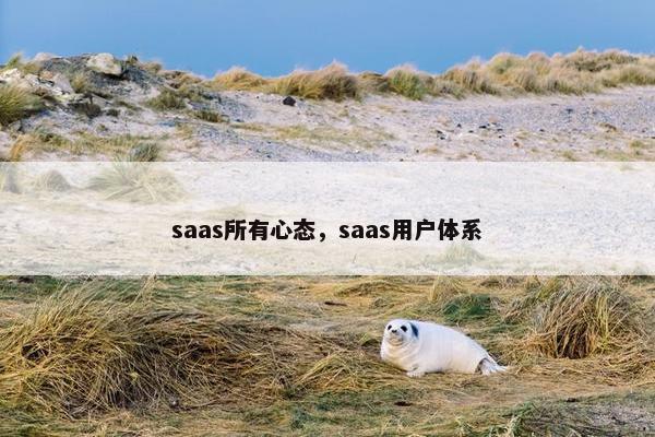 saas所有心态，saas用户体系