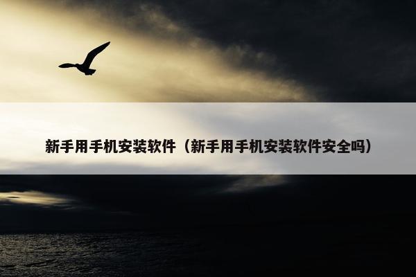 新手用手机安装软件（新手用手机安装软件安全吗）